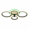 Потолочная светодиодная люстра Evoled Cerina SLE500542-04RGB