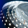 Светодиодная влагозащищенная лента DesignLed 14,4W/m 60LED/m 5050SMD холодный белый 5M 000513