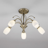 Потолочная люстра со стеклянными плафонами 30280/5