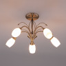 Потолочная люстра со стеклянными плафонами 30280/5