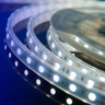 Светодиодная влагозащищенная лента DesignLed 14,4W/m 60LED/m 5050SMD холодный белый 5M 000518