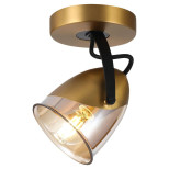 Спот Lussole Loft Antelope LSP-8422 Спот Lussole Loft Antelope LSP-8422