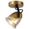 Спот Lussole Loft Antelope LSP-8422 Спот Lussole Loft Antelope LSP-8422