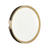 7667/DL COLOR SN 132 Светильник пластик/белый/черный/золотой LED 48Вт 4000К D405 IP43 FAVEMO BLACK
