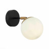Бра Evoluce FORLI SLE220401-01 Бра Evoluce FORLI SLE220401-01