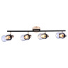 Спот Seven Fires Тина SF4701/4C-MBK+FGD Спот Seven Fires Тина SF4701/4C-MBK+FGD
