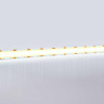 Светодиодная лента Ambrella Light GS4803 COB 616Led/19W m/ 24V IP20 6500K/ 5m*12mm*2mm (2 конт.) GS4803