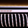 Лента светодиодная Deko-Light 3528-120-12V-3000K-5m 840165