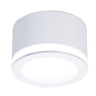 Потолочный светодиодный светильник Ambrella light Techno TN265
