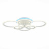 Потолочная светодиодная люстра Evoluce Cerina SLE500552-06RGB
