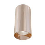 Потолочный светильник Maytoni Technical C010CL-01RG