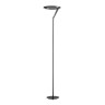 Торшер Divinare SOLE 3234/06 PN-1