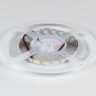Светодиодная лента DesignLed DSG2120-9.6-24-WW-33 036592