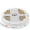 Светодиодная лента Apeyron 15W/m 60LED/m 5050SMD разноцветная/холодный белый 5M 00-336