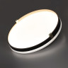 7647/DL PALE SN 189 Светильник пластик/белый/черный/золотой LED 48Вт 4000К D390 IP43 OLIDI BLACK