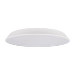 Потолочный светодиодный светильник Loft IT Brim 10226 White