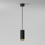 Подвесной светильник Elektrostandard Nubis 50122/1 GU10 черный/золото a064791
