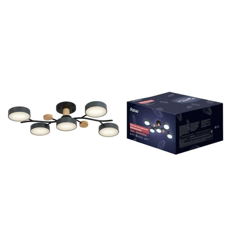 Потолочная люстра Ritter SCANDIA 52080 1 Потолочная люстра Ritter SCANDIA 52080 1
