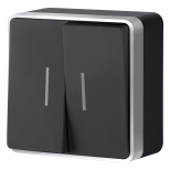 Выключатель двухклавишный с подсветкой Gallant черный с серебром W5020134 W5020134