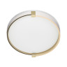 7646/CL PALE SN 189 Светильник пластик/белый/золотой LED 30Вт 4000К D340 IP43 OLIDI WHITE