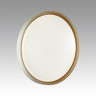 7645/EL COLOR SN 158 Светильник пластик/белый/оранжевый LED 70Вт 3000-6000К D520 IP43 пульт ДУ KISIL