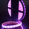 Светодиодная влагозащищенная лента SWG 14,4W/m 60LED/m 5050SMD разноцветный 5M 001845