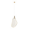 Подвесной светодиодный светильник Loft IT Leaf 10349/M