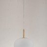 Подвесной светодиодный светильник Arti Lampadari Nevilie L 1.P3 W