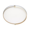 7646/DL PALE SN 189 Светильник пластик/белый/золотой LED 48Вт 4000К D390 IP43 OLIDI WHITE