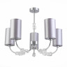 Потолочная люстра Evoluce Emmi SLE156002-05 Потолочная люстра Evoluce Emmi SLE156002-05