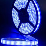 Светодиодная влагозащищенная лента SWG 14,4W/m 60LED/m 5050SMD синий 5M 001848