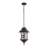 Уличный подвесной светильник Loft IT Prato 100021P