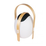 Настольная лампа iLedex Giggle OVS1100-CH WH Настольная лампа iLedex Giggle OVS1100-CH WH