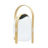Настольная лампа iLedex Giggle OVS1100-CH WH