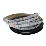 Светодиодная лента Eleganz 5050 30led 7,2 Вт 12V - RGB