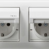 Розетка двойная Gira Standard 55 Schuko с/з с крышкой 16A 250V безвинтовой зажим чисто-белый глянцевый 115803