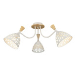 Потолочная люстра Seven Fires Gudi 66656.01.09.03