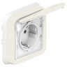 Розетка силовая Legrand Plexo IP55 2К+3 в сборе, белая 069869
