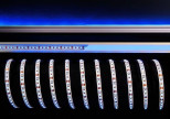 Лента светодиодная Deko-Light 3528-120-12V-blue-5m 840232 Лента светодиодная Deko-Light 3528-120-12V-blue-5m 840232