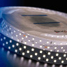 Светодиодная влагозащищенная лента DesignLed 24W/m 252LED/m 2835SMD нейтральный белый 5M 000530