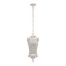 Уличный подвесной светильник Loft IT Tremezzo 100019P WBG