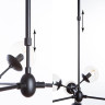 Подвесная люстра Arte Lamp BOLLA A1664SP-12BK Подвесная люстра Arte Lamp BOLLA A1664SP-12BK