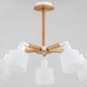 Потолочная люстра Alfa Bushwick 27005