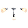 Потолочная люстра Escada Aquilegia 1100/3P Chrome Потолочная люстра Escada Aquilegia 1100/3P Chrome