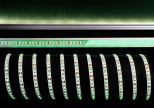 Лента светодиодная Deko-Light 3528-120-12V-green-5m 840233 Лента светодиодная Deko-Light 3528-120-12V-green-5m 840233