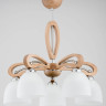 Потолочная люстра Alfa Gracja 27045