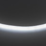 Гибкий неон Lightstar 9,6W/m 120LED/m холодный белый LS720 430204