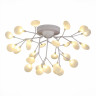 Потолочная люстра Evoluce Avola SLE250102-27 Потолочная люстра Evoluce Avola SLE250102-27