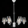 Подвесная люстра Crystal Lux Raul SP6